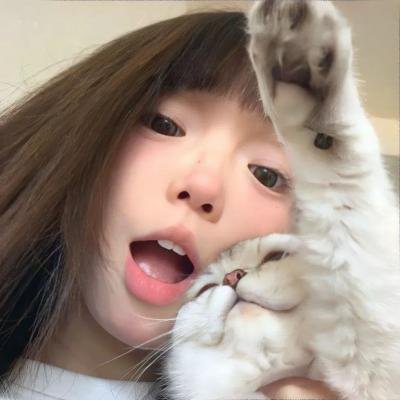 历史